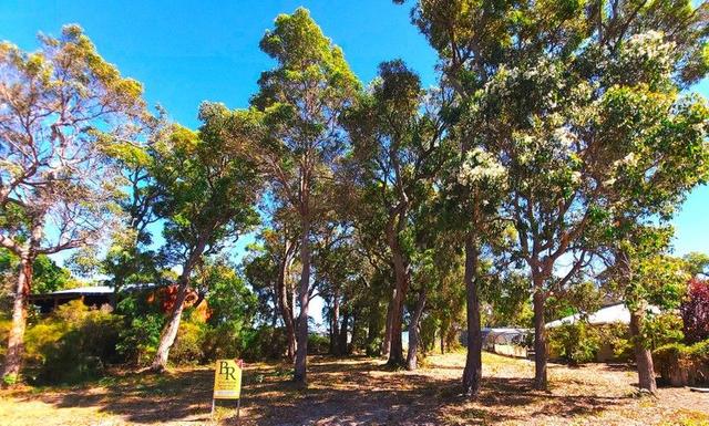 42 Karri Street, WA 6398