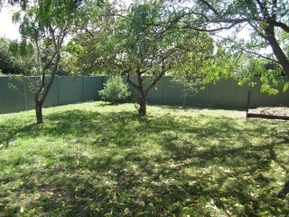 Shady back garden & veggie patch