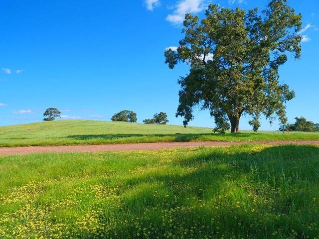 428 Yarrimbah Drive, WA 6084