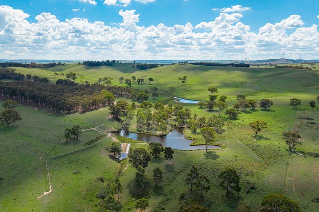 68 Woodhouselee Road Wayo Via, NSW 2580