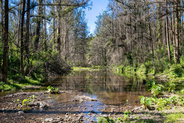 1584 Nulla Nulla Creek Road, NSW 2440
