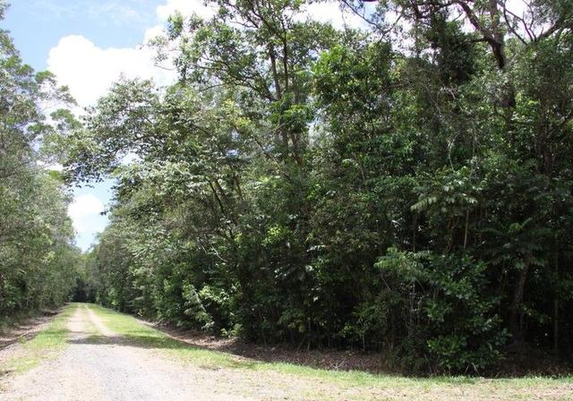 Lot 192 Cedar Road, Cow Bay, QLD 4873