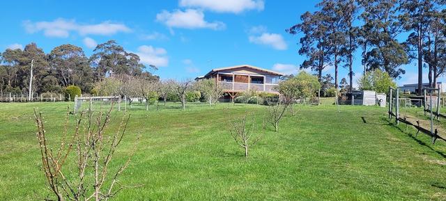 150 Hjorts Road, TAS 7275