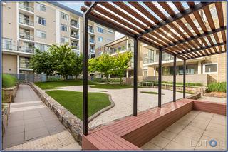 Garden Area (2015-02-17)