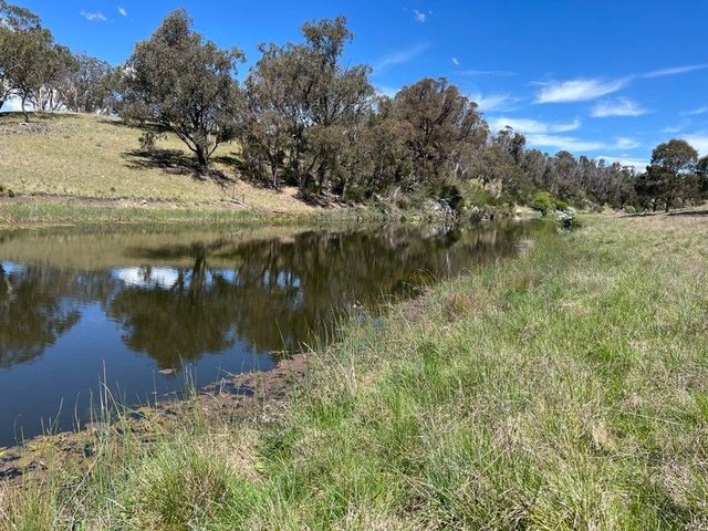 860 Bullock Mountain Road, NSW 2370