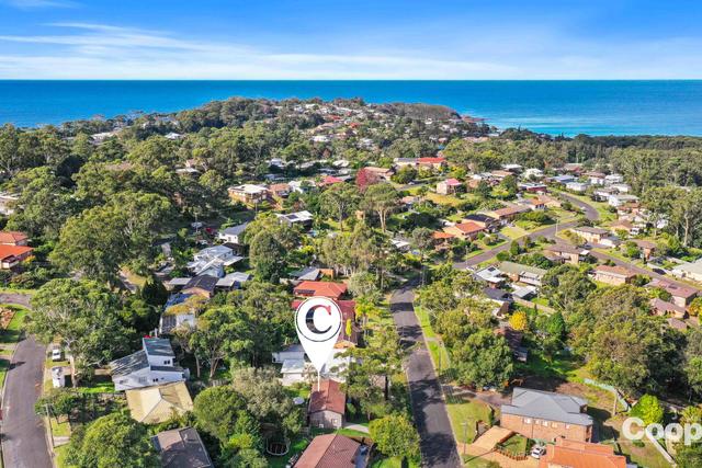 4 Bushland Avenue, NSW 2539