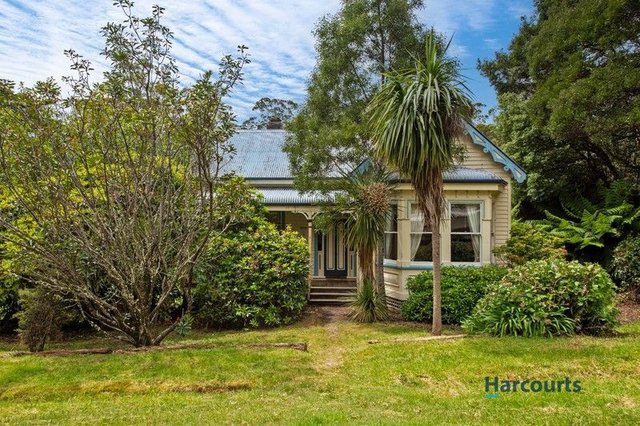 3 Vivian Street, TAS 7468