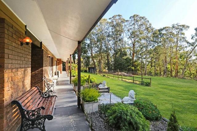 169 Timboon - Curdievale Road, VIC 3268