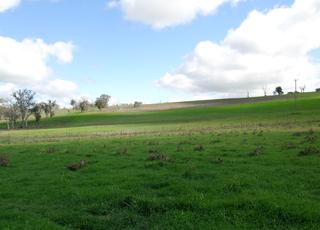 land (2010-05-08)