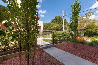 Garden (2016-11-14)