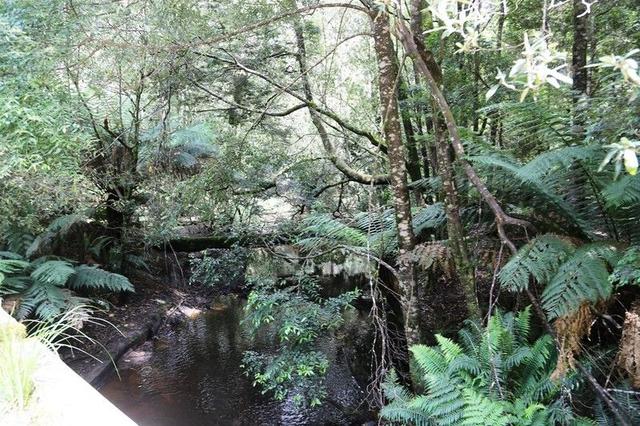1 Croles Road, TAS 7330
