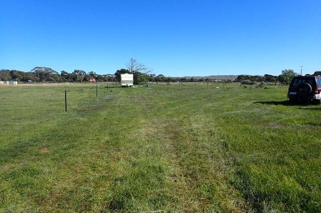 12320 RM Williams Way, Orroroo, SA 5431 - House for Sale