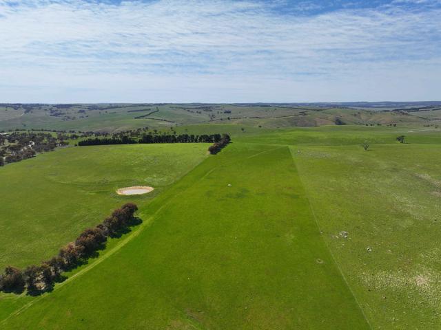 1002 Golspie Road, NSW 2580