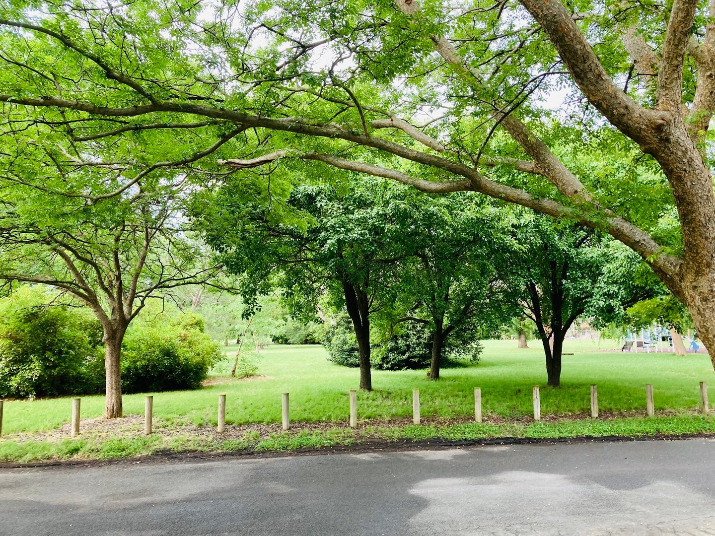 11 Hackett Gardens, Turner ACT 2612 Allhomes