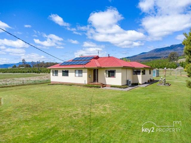 663 Cheshunt Road, TAS 7304