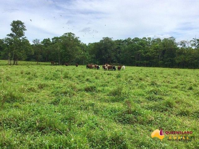 (no street name provided), QLD 4860