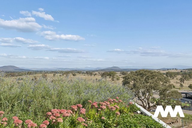 118/70 Efkarpidis Street, ACT 2912