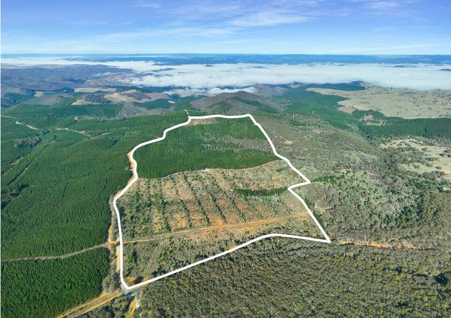 3653 Arkstone Road, NSW 2795