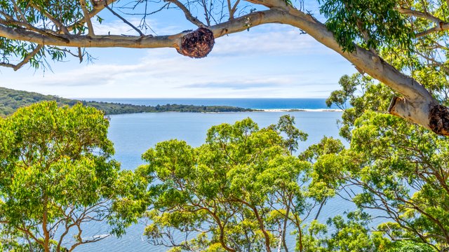 6 Sandbar View Place, NSW 2428