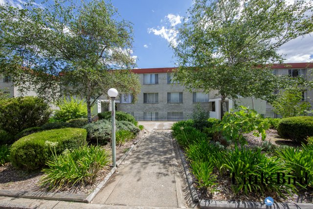 22/6 Wilkins Street, ACT 2607