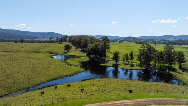 Lot 47 Fosterton Road, NSW 2420