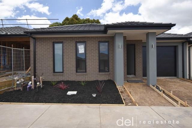 16 Jessfield Terrace, VIC 3977