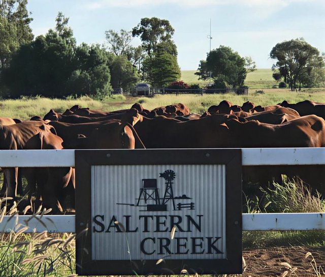 1970 Saltern Creek Road, QLD 4725