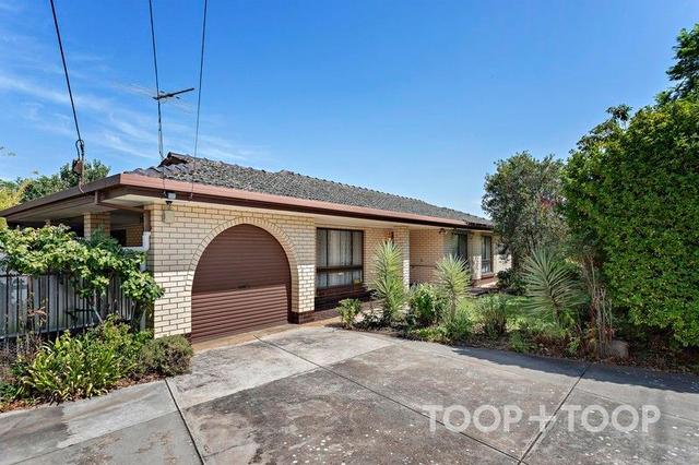 43A Catherine Street, SA 5062