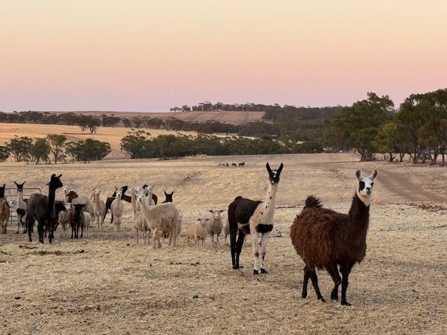 2130 Long Forrest Road, WA 6460