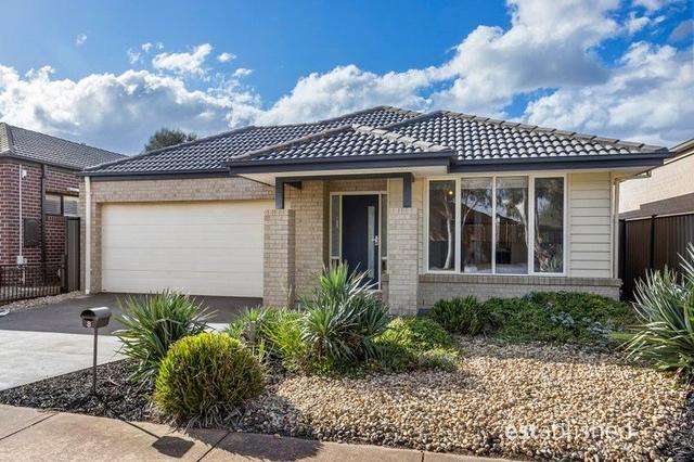 8 Brownlow Drive, VIC 3030