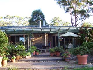 Backyard (2005-09-19)