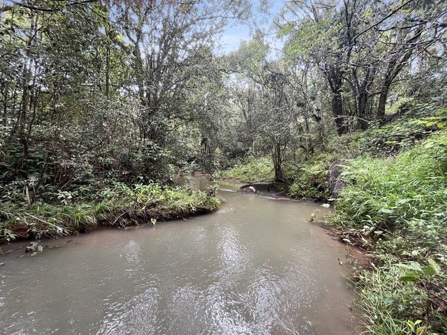 (no street name provided), QLD 4885