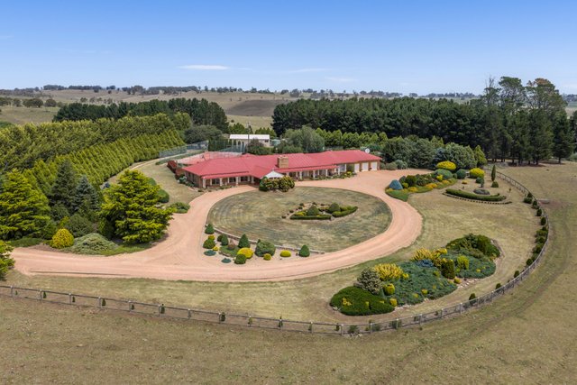 565 Creewah Road, NSW 2632