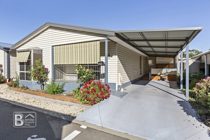 Bendigo Property Plus Local Real Estate Agency Allhomes