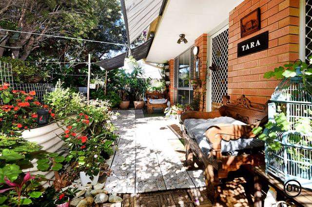 5/49 Boultwood Street, NSW 2450