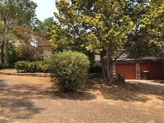 Frontyard