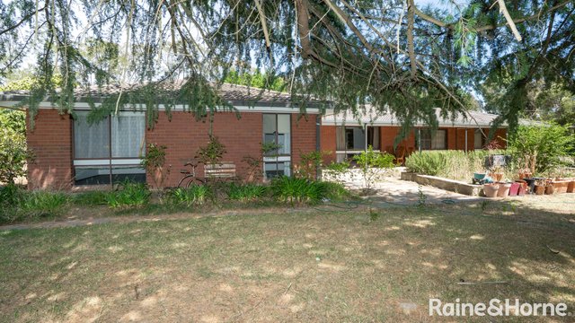99 Rosevale Drive, NSW 2650