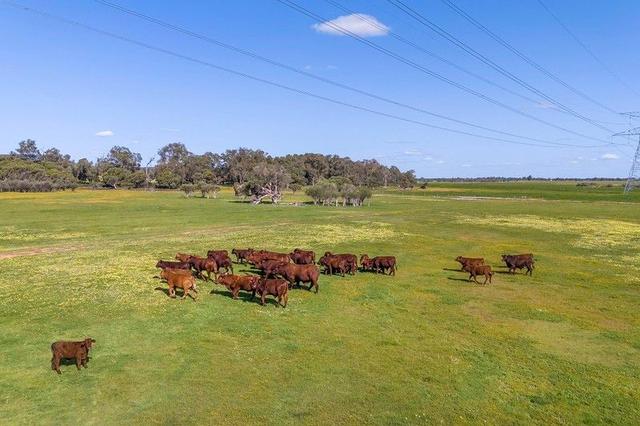 Lot 3119 Brand Highway, WA 6503