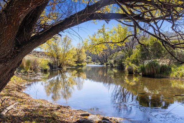 1218 Dry Plains Road, NSW 2630