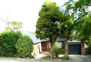 Frontyard (2004-01-23)