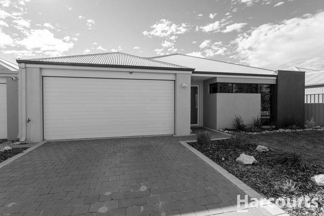 7 Isabelline Terrace, WA 6176