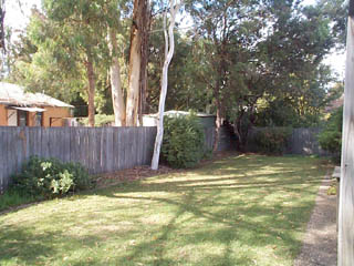 Rear yard