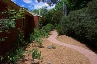Side Garden (2003-11-26)