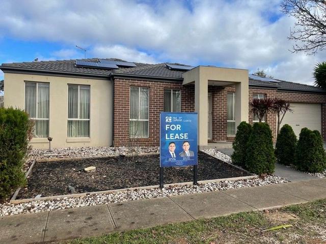 1/4 Bunya Place, VIC 3030