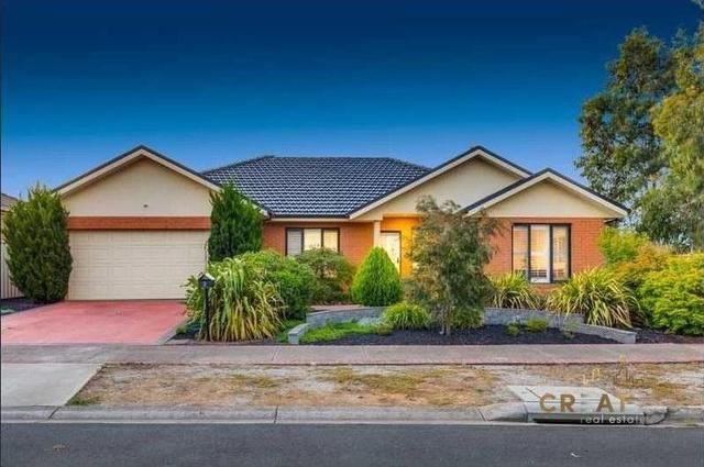 3 Hatchford Green, VIC 3023