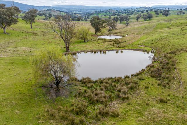 1351 Snowy Mountains Highway, NSW 2720