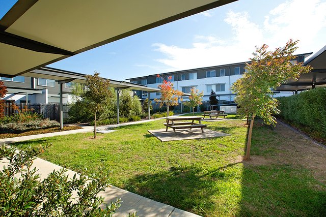 99/329 Flemington Road, ACT 2913