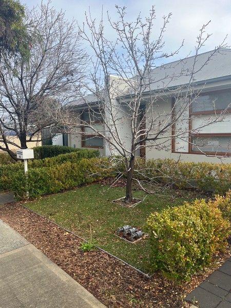49 Allison Street, SA 5043