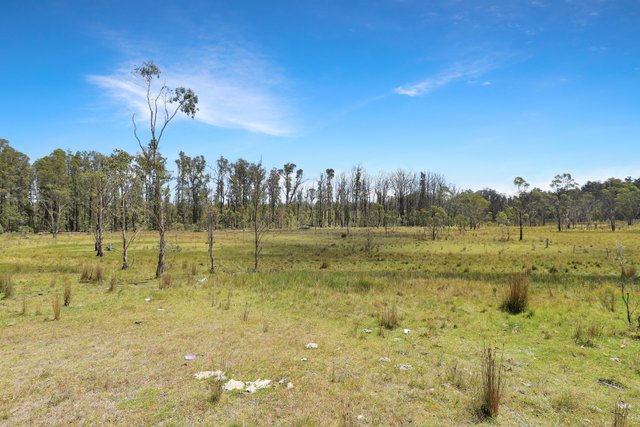 Lot 51 Tantawangalo Mountain Road, NSW 2632