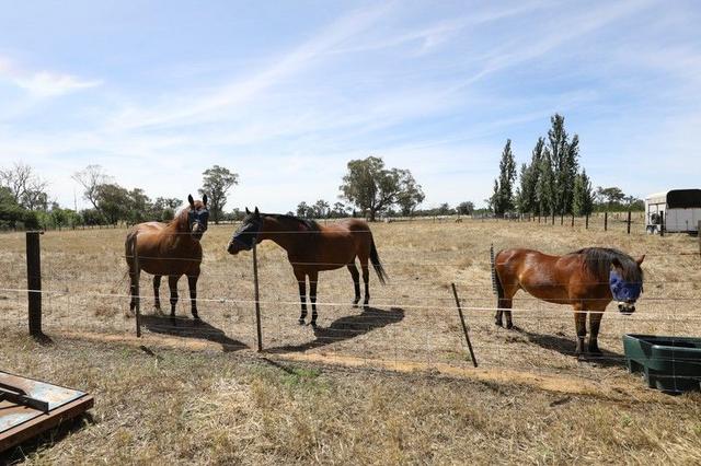 Lot 2 Benalla-Tocumwal Road, VIC 3644